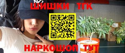стафф Будённовск