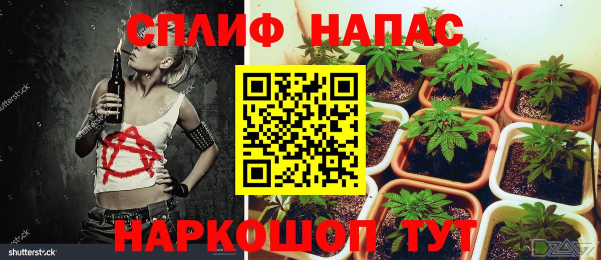 МАРИХУАНА ГИДРОПОН  Конопля семена  Вход с VPN  Азов  Шишки марихуана Bruce Banner 